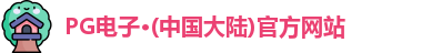 pg电子官方网站